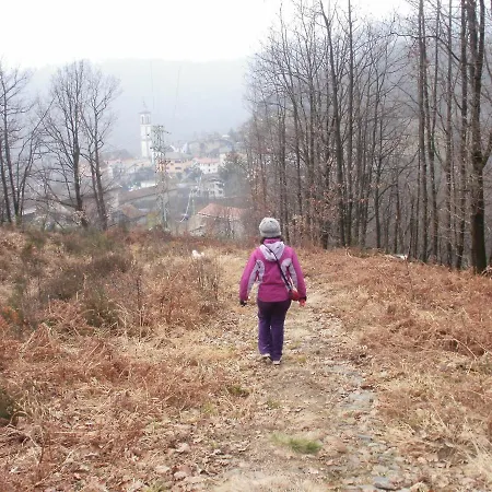 Bilocale Con Terrazzo Maggiore