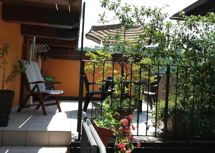 Apartamento Bilocale Con Terrazzo Maggiore Cossogno