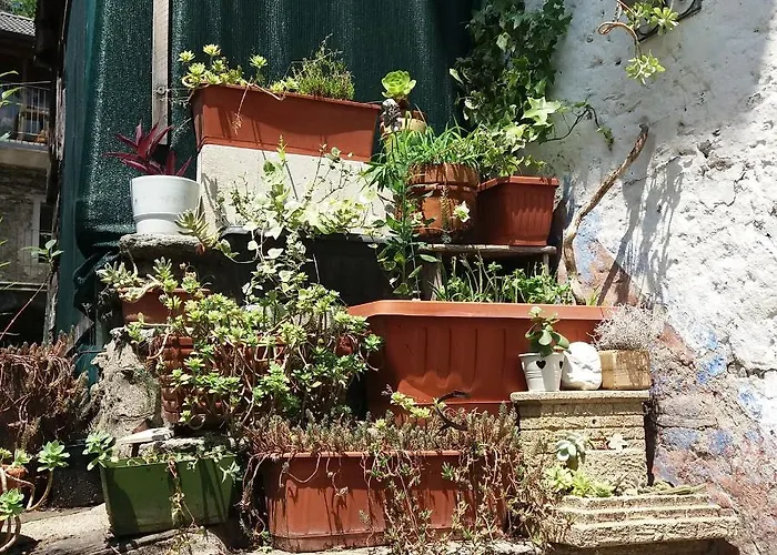 Apartmán Bilocale Con Terrazzo Maggiore *